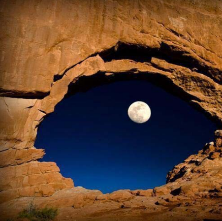 節(jié)能動態(tài) （2021年第03期）